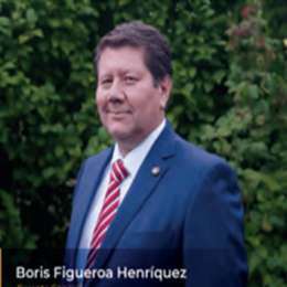 Boris L. Figueroa Henriquez