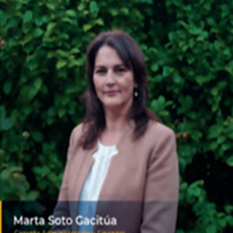 Boris L. Figueroa Henriquez